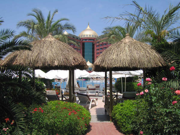 AND - 033 Saz Otu Hasır Şemsiye